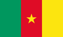 The Flag of Cameroon