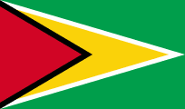 The Flag of Guyana